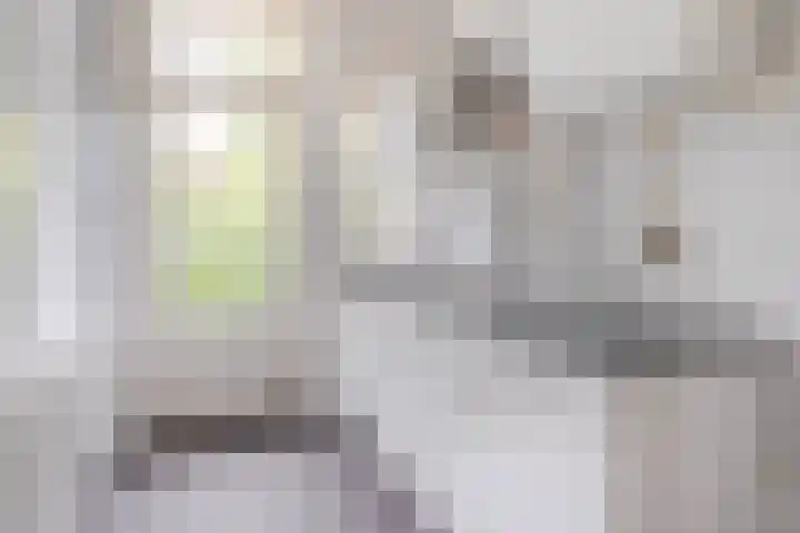 Tapuitstraat 51 C Rotterdam thumbnail 5