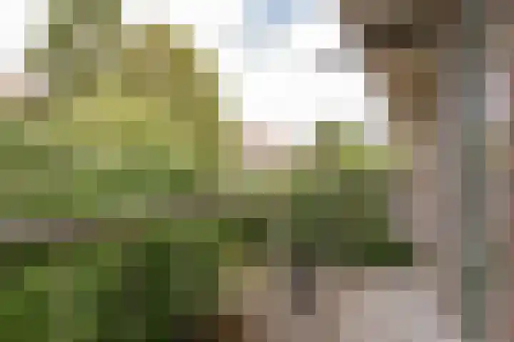 Tapuitstraat 51 C Rotterdam thumbnail 6
