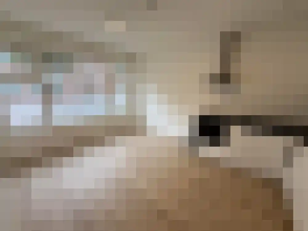 Tapuitstraat 56 Rotterdam thumbnail 10