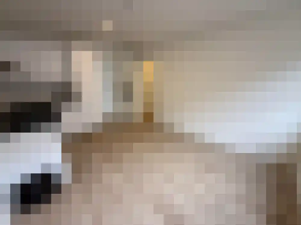Tapuitstraat 56 Rotterdam thumbnail 11