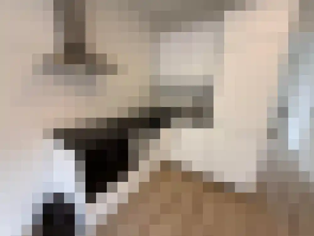 Tapuitstraat 56 Rotterdam thumbnail 12