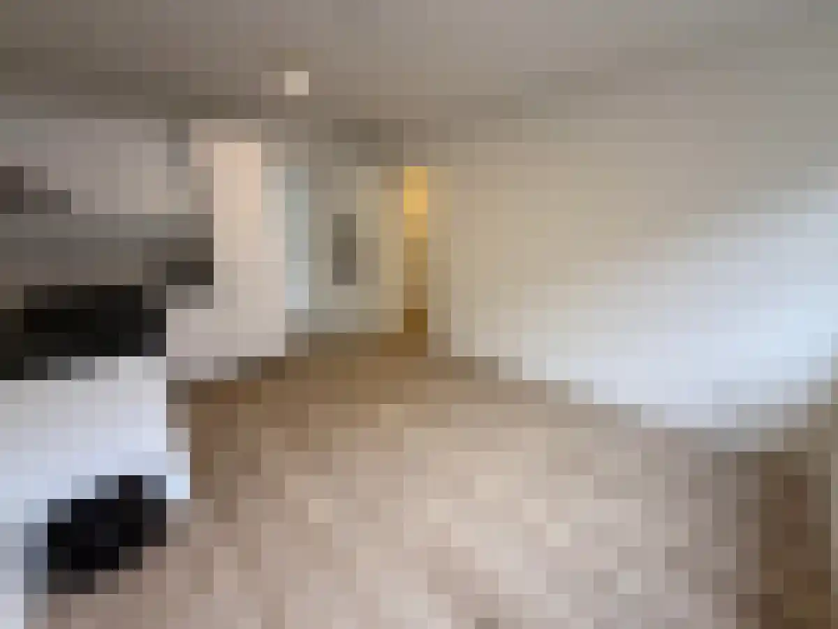 Tapuitstraat 56 Rotterdam thumbnail 4