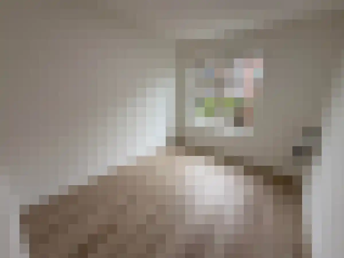 Tapuitstraat 56 Rotterdam thumbnail 6