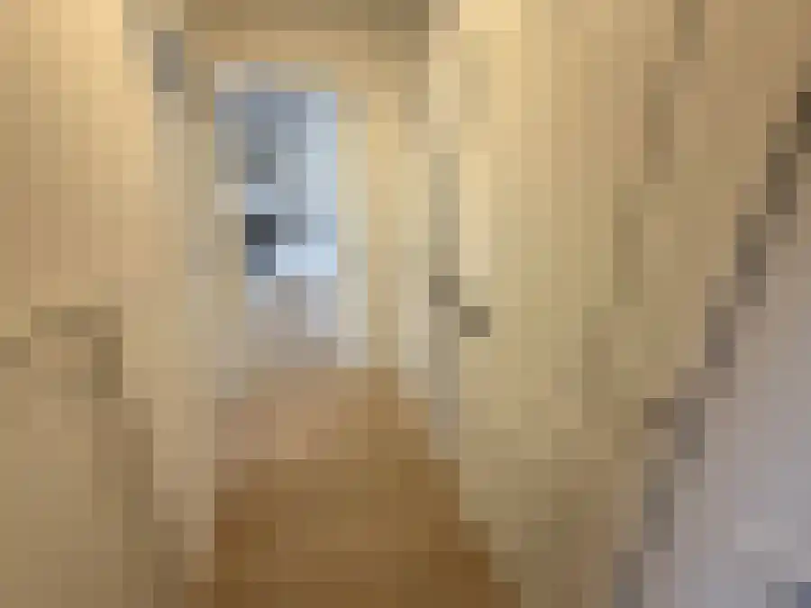 Tapuitstraat 56 Rotterdam thumbnail 8