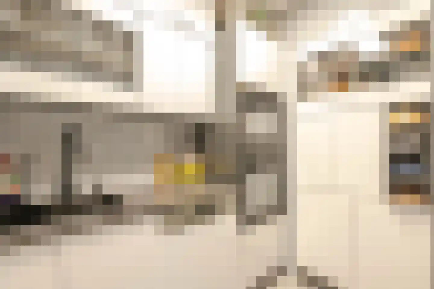 Tapuitstraat 57 A Rotterdam thumbnail 14