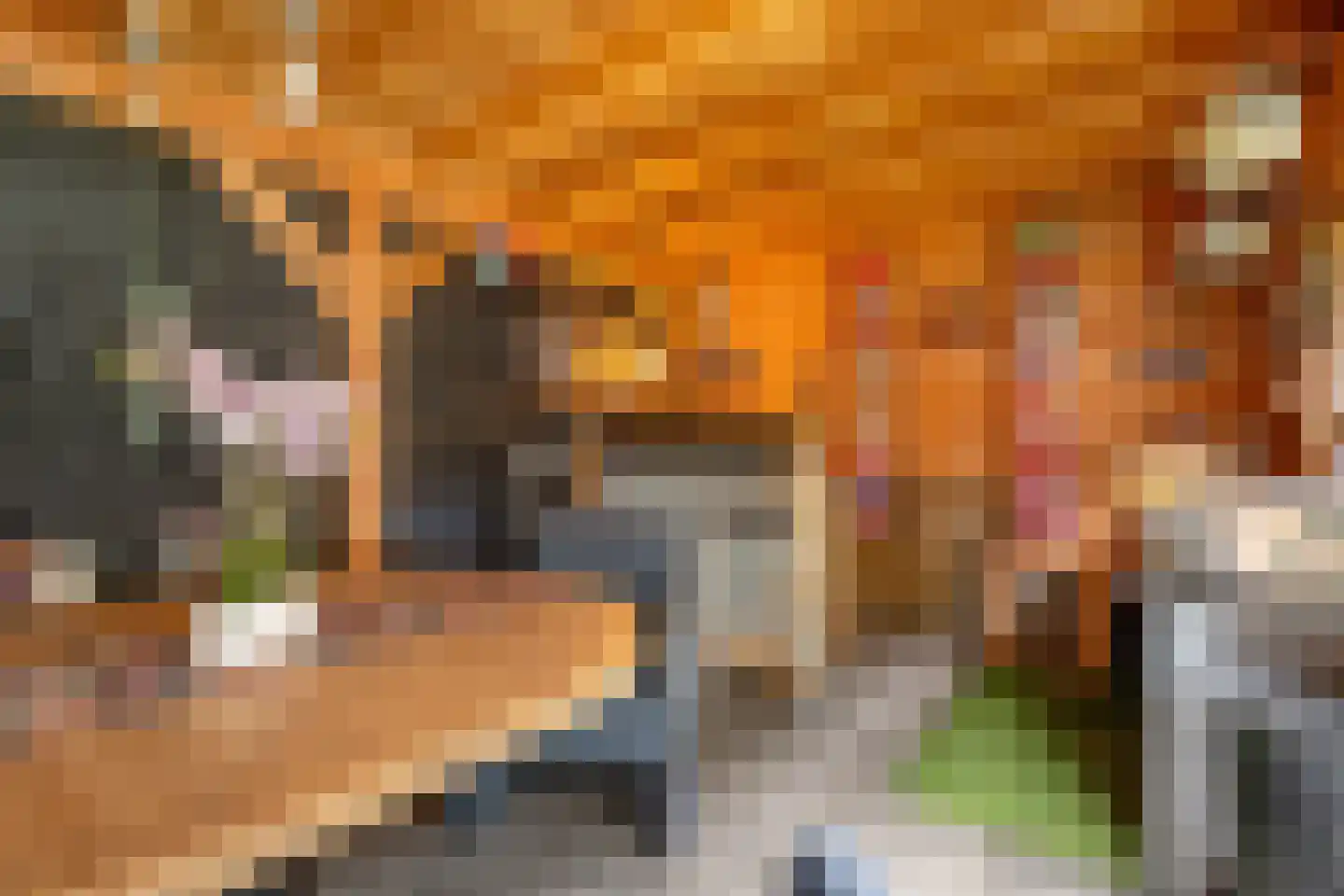 Tapuitstraat 57 A Rotterdam thumbnail 28