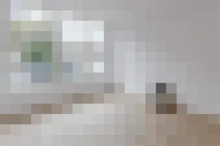 Tapuitstraat 63 C Rotterdam thumbnail 7