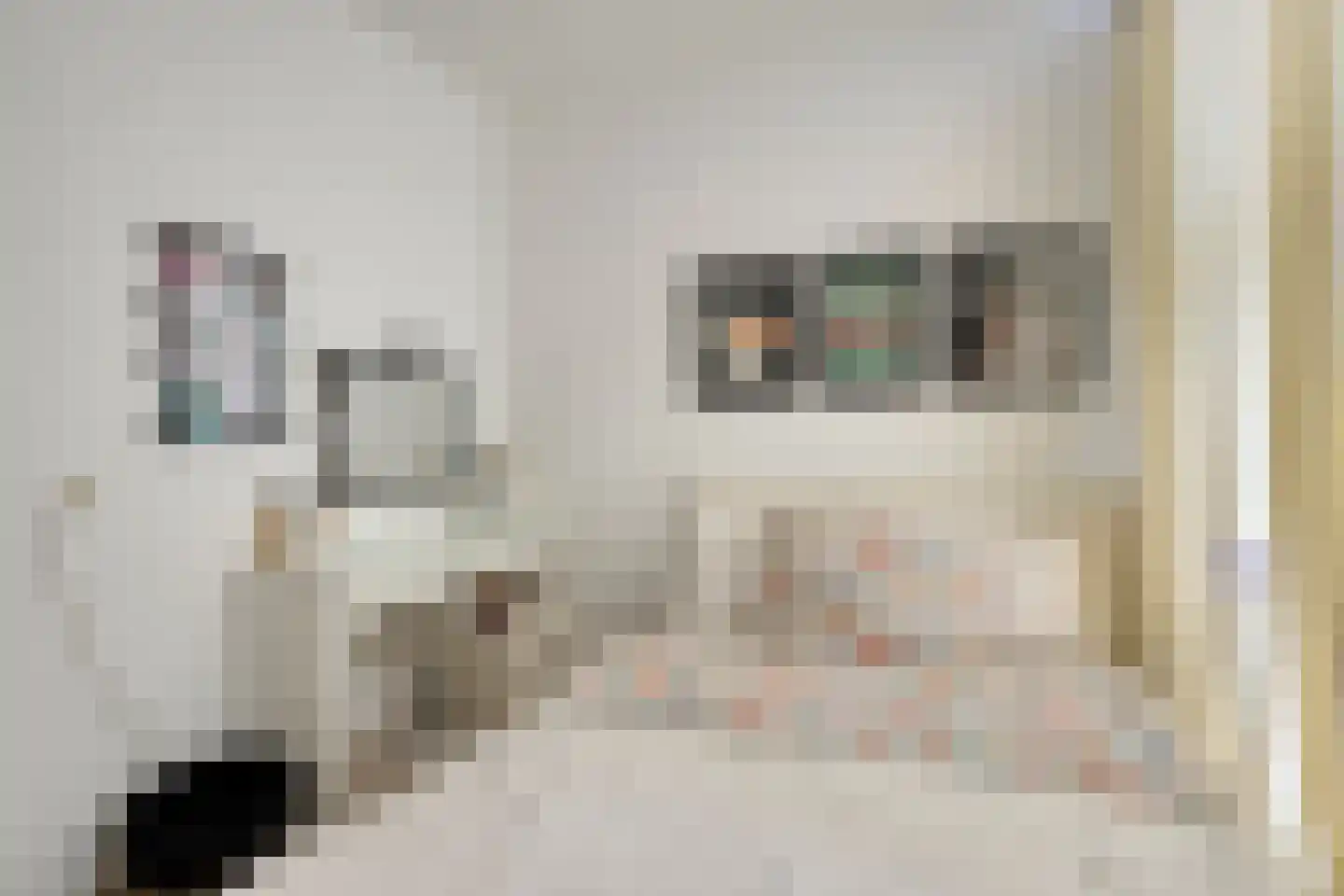 Tapuitstraat 7 B Rotterdam thumbnail 10