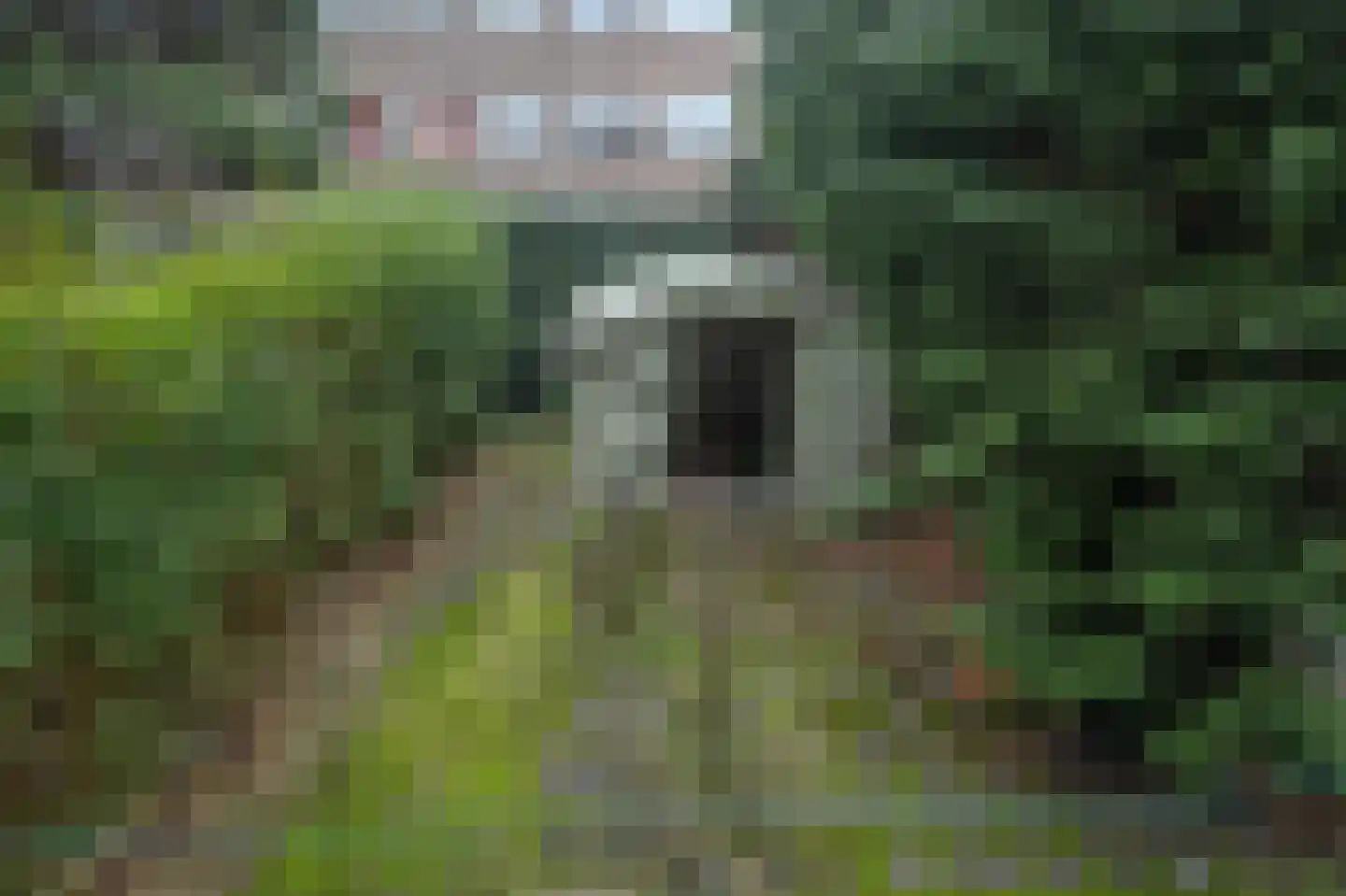 Tapuitstraat 73 B Rotterdam thumbnail 17