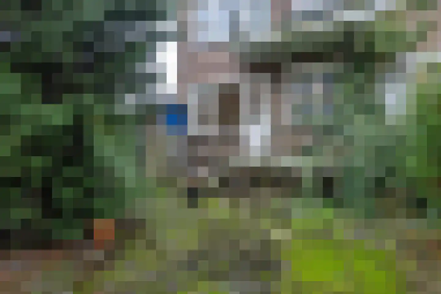 Tapuitstraat 73 B Rotterdam thumbnail 19