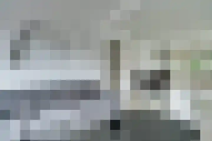 Tapuitstraat 77 A Rotterdam thumbnail 6