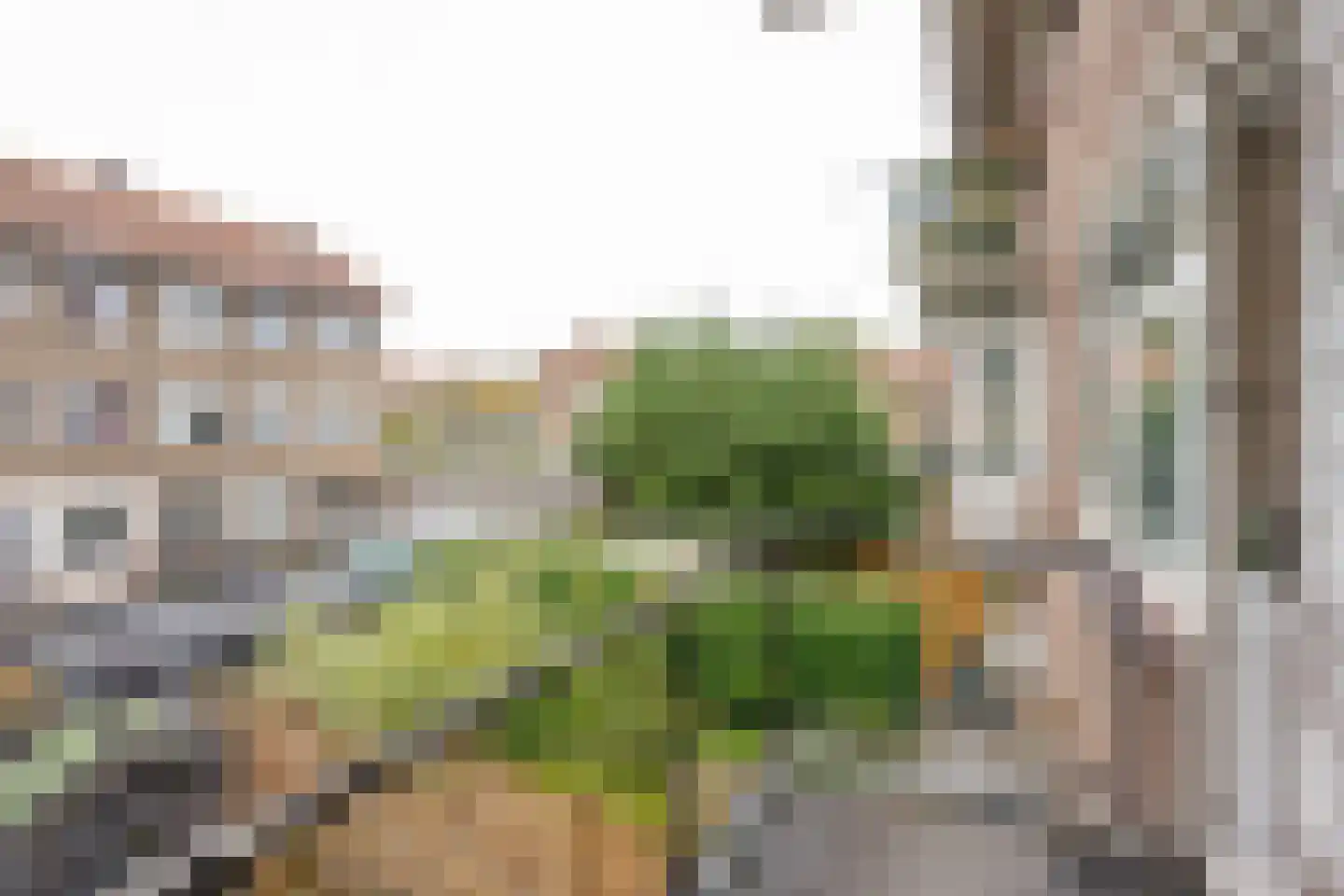 Tapuitstraat 77 B Rotterdam thumbnail 24