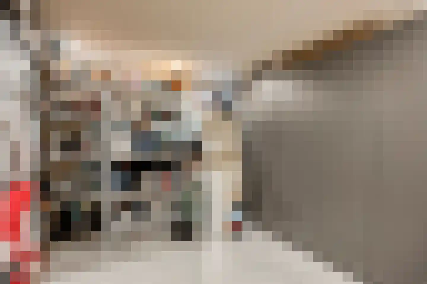 Tapuitstraat 92 A Rotterdam thumbnail 14