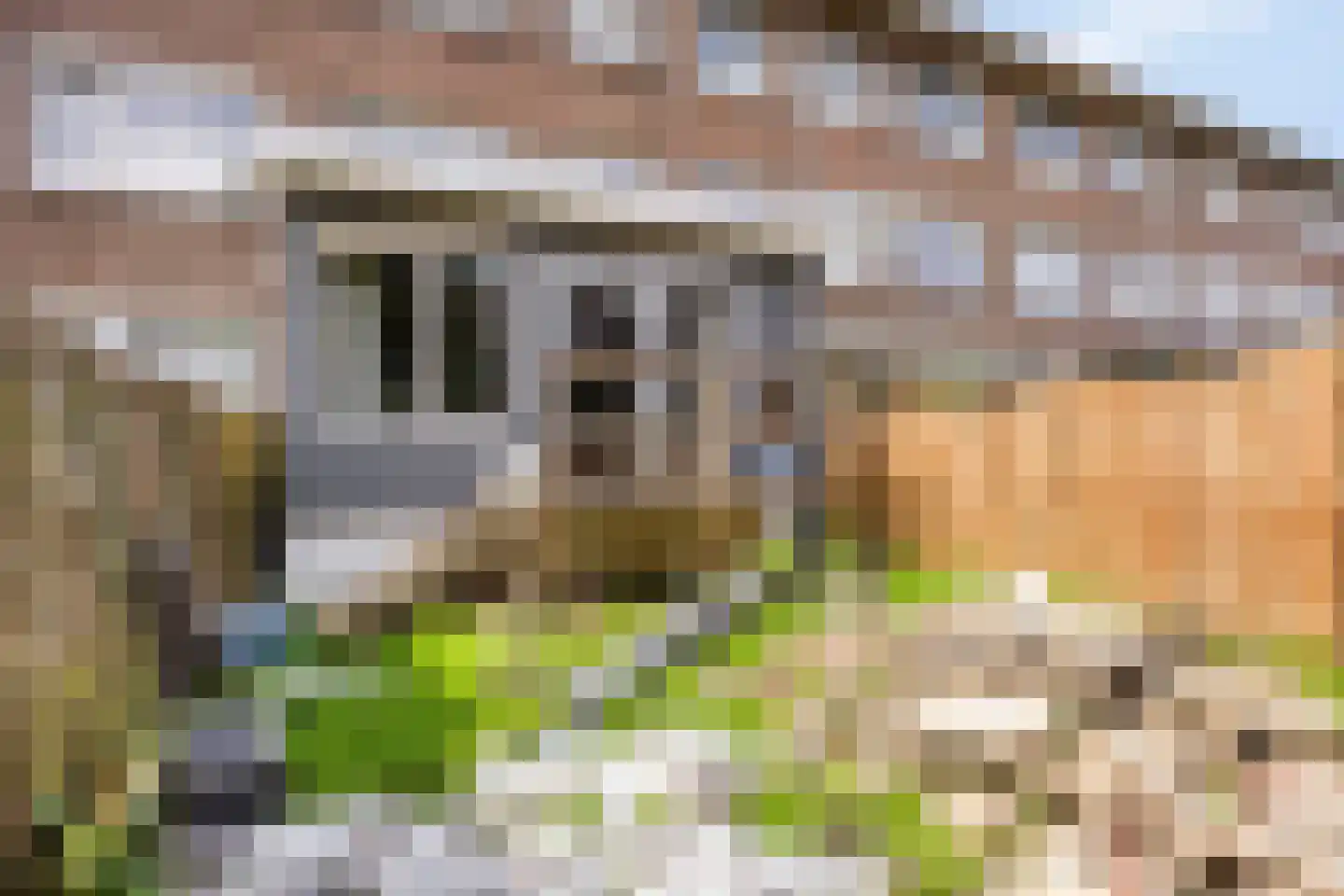 Tapuitstraat 92 A Rotterdam thumbnail 20