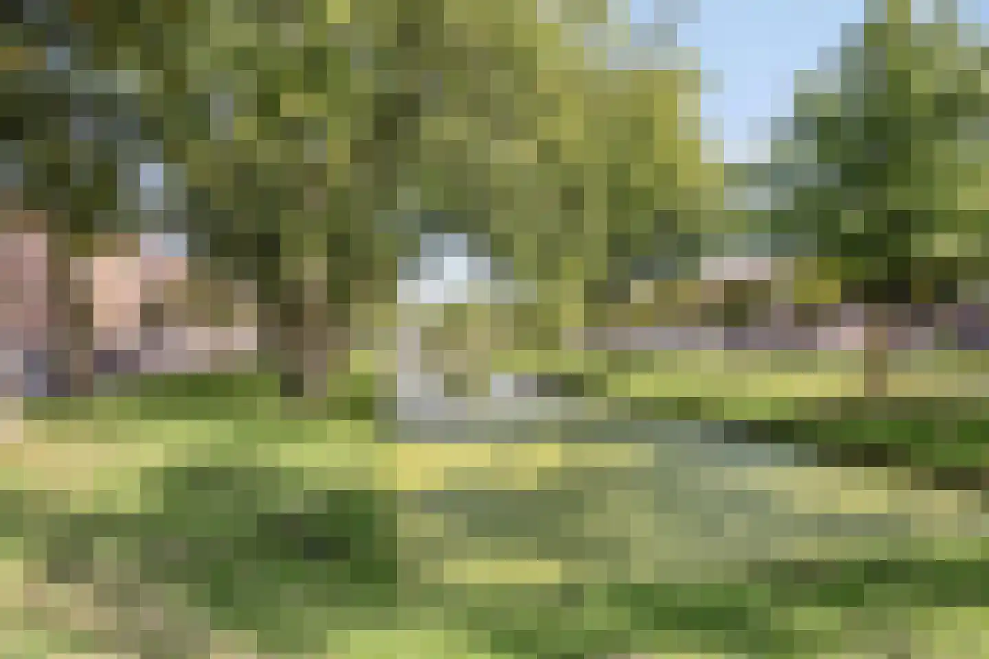 Tapuitstraat 92 A Rotterdam thumbnail 23