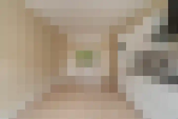 Tapuitstraat 94 A Rotterdam thumbnail 11