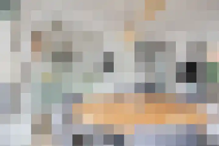 Tarantostraat 23 Eindhoven thumbnail 13