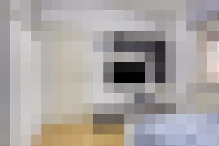 Tarantostraat 23 Eindhoven thumbnail 19