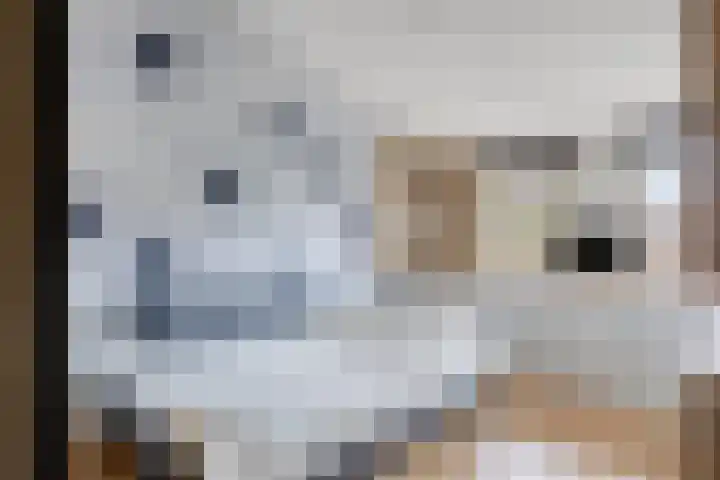 Tarantostraat 23 Eindhoven thumbnail 22