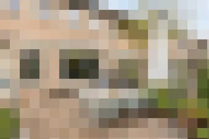 Tarantostraat 23 Eindhoven thumbnail 27