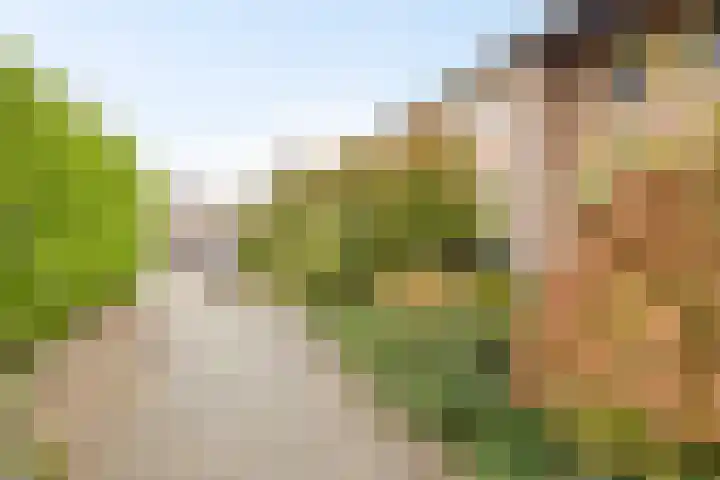 Tarantostraat 23 Eindhoven thumbnail 31