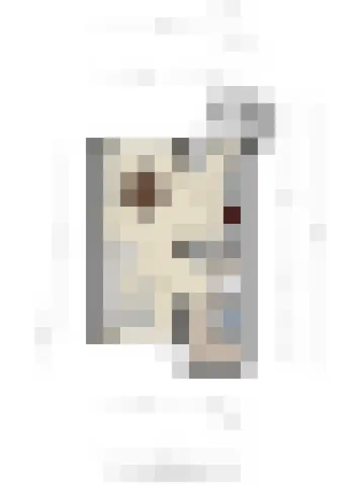 Tarantostraat 23 Eindhoven thumbnail 33