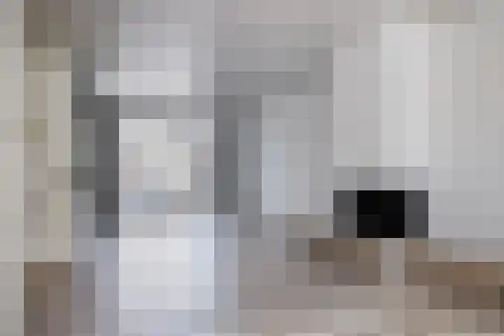 Tarantostraat 33 Eindhoven thumbnail 15