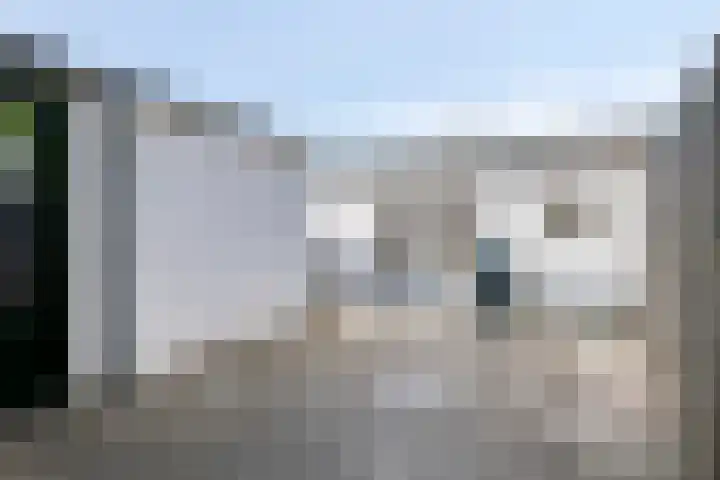 Tarantostraat 33 Eindhoven thumbnail 22