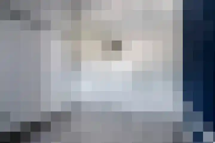 Tarantostraat 33 Eindhoven thumbnail 31