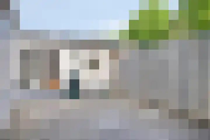 Tarantostraat 33 Eindhoven thumbnail 5