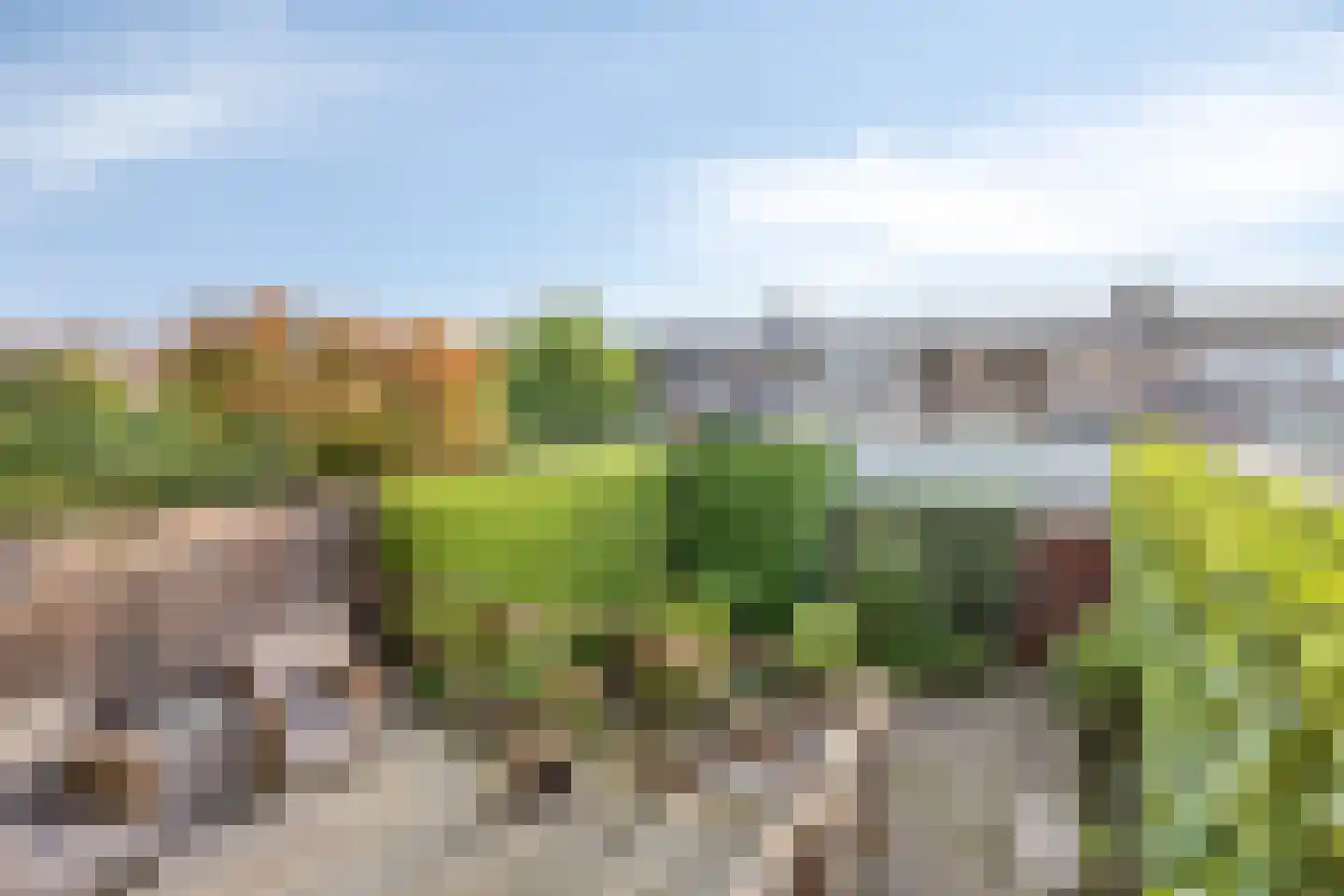 Tarantostraat 40 Eindhoven thumbnail 19