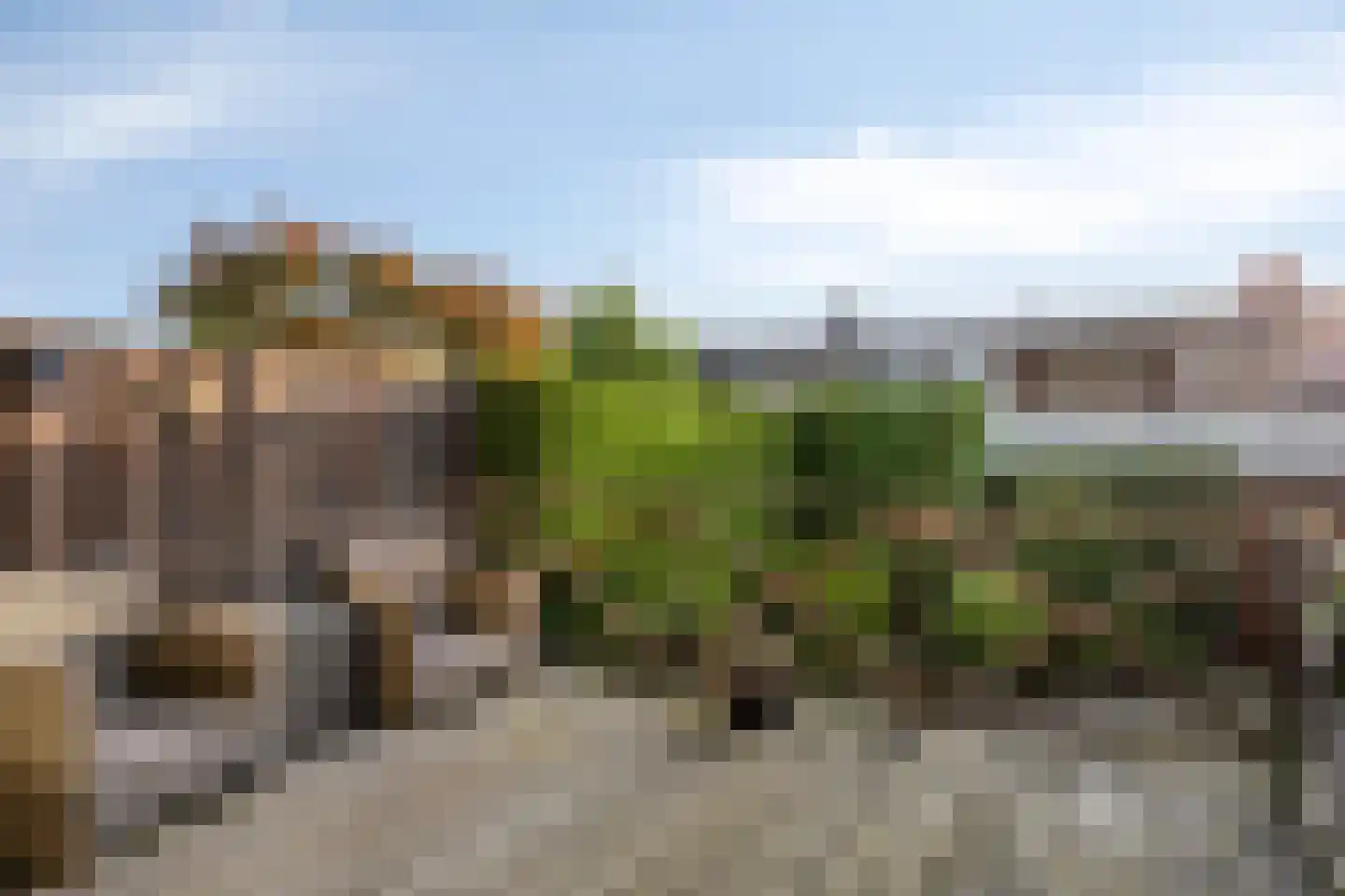 Tarantostraat 40 Eindhoven thumbnail 20
