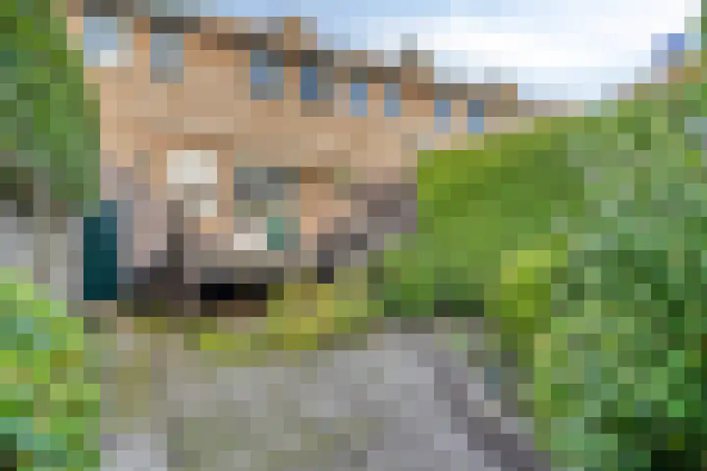 Tarantostraat 40 Eindhoven thumbnail 22