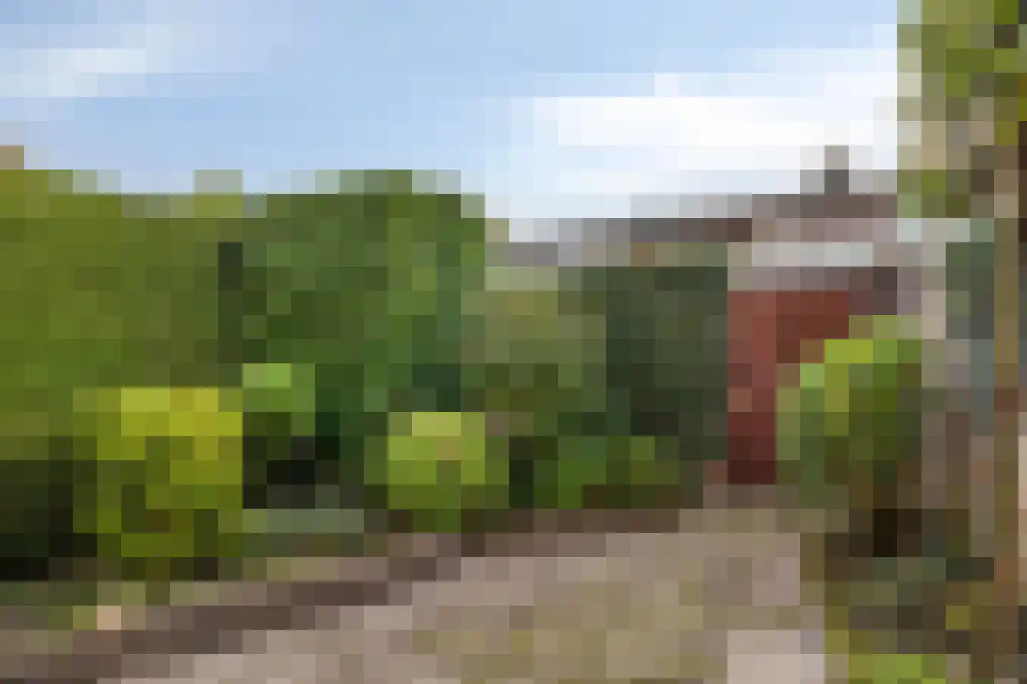 Tarantostraat 40 Eindhoven thumbnail 27