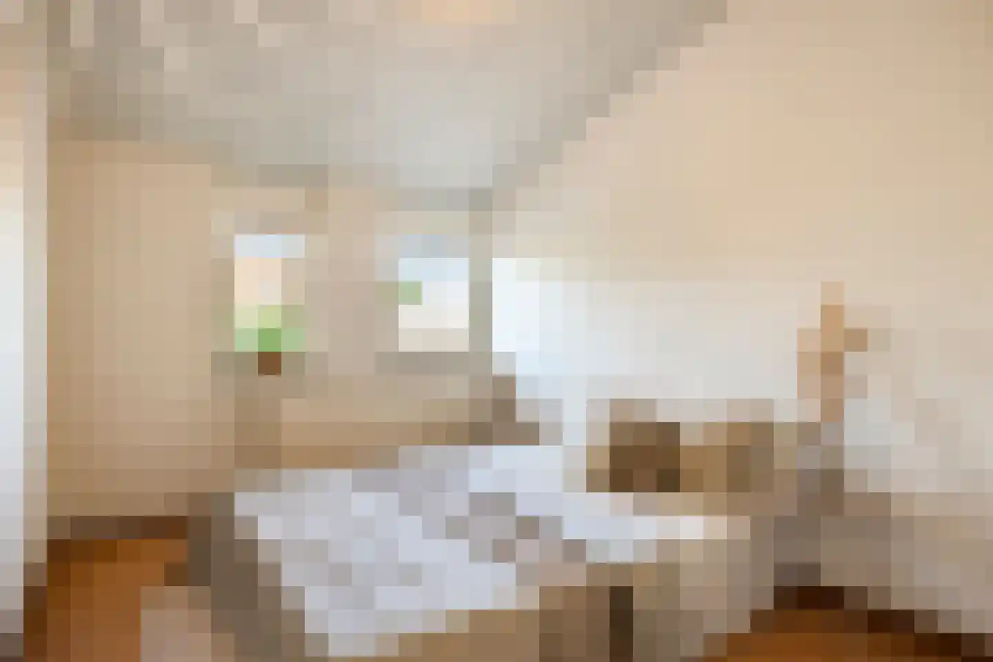 Tarantostraat 40 Eindhoven thumbnail 43