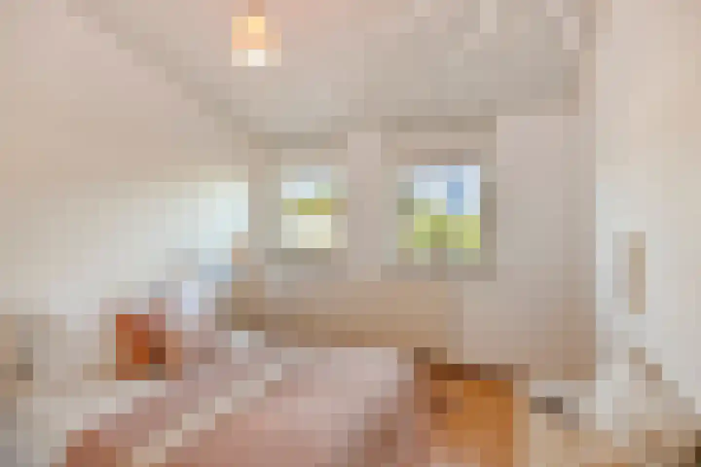 Tarantostraat 40 Eindhoven thumbnail 45