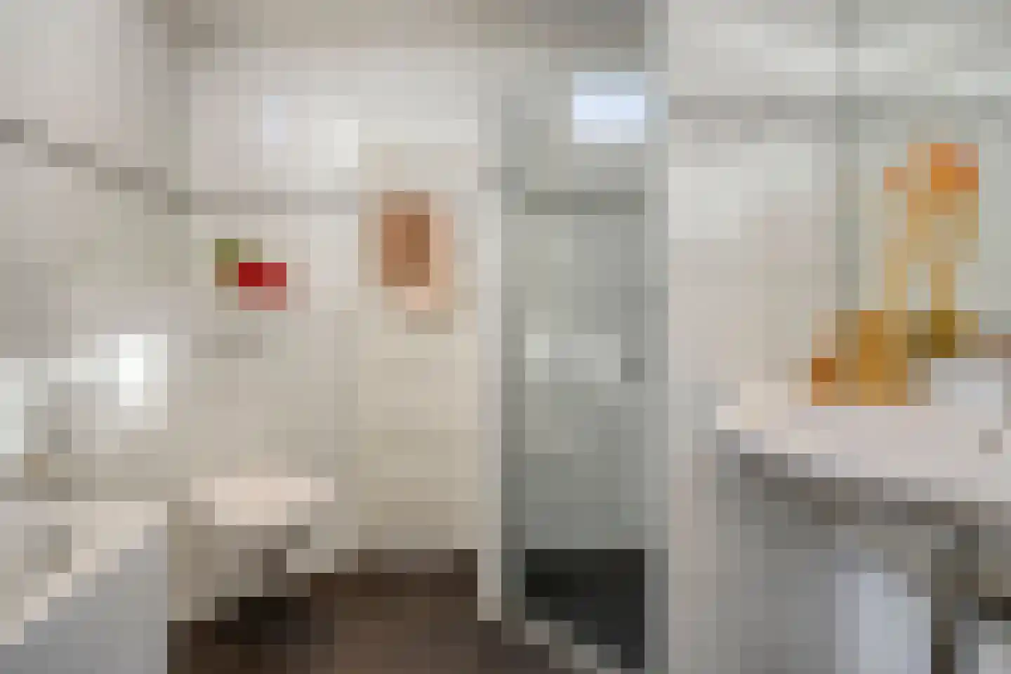 Tarantostraat 40 Eindhoven thumbnail 47
