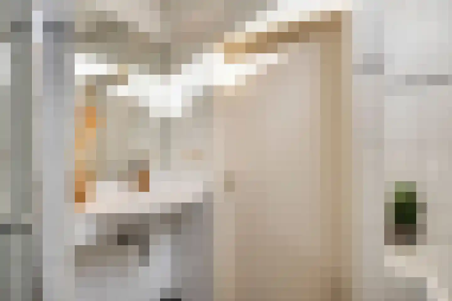 Tarantostraat 40 Eindhoven thumbnail 48