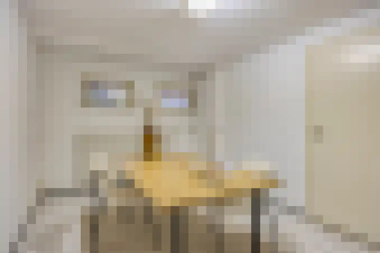 Tarantostraat 40 Eindhoven thumbnail 53
