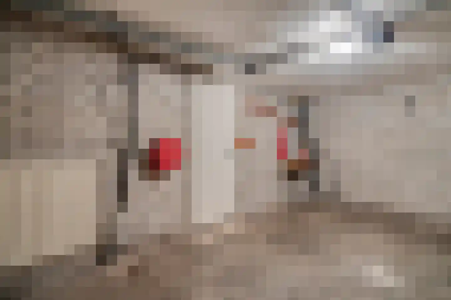 Tarantostraat 40 Eindhoven thumbnail 56