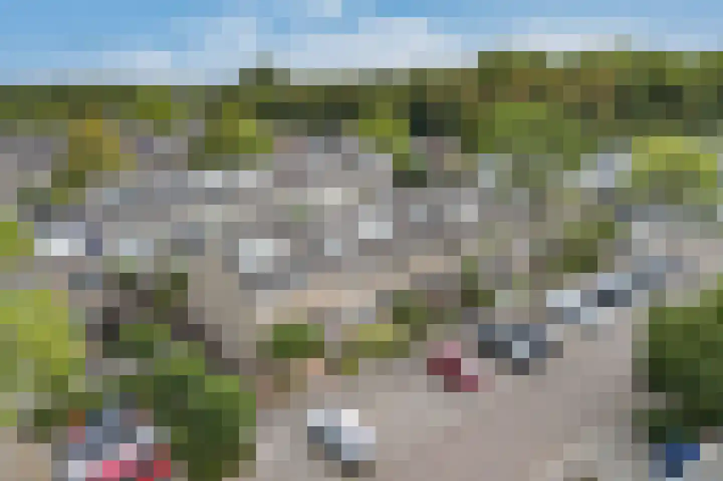 Tarbot 123 Ridderkerk thumbnail 35
