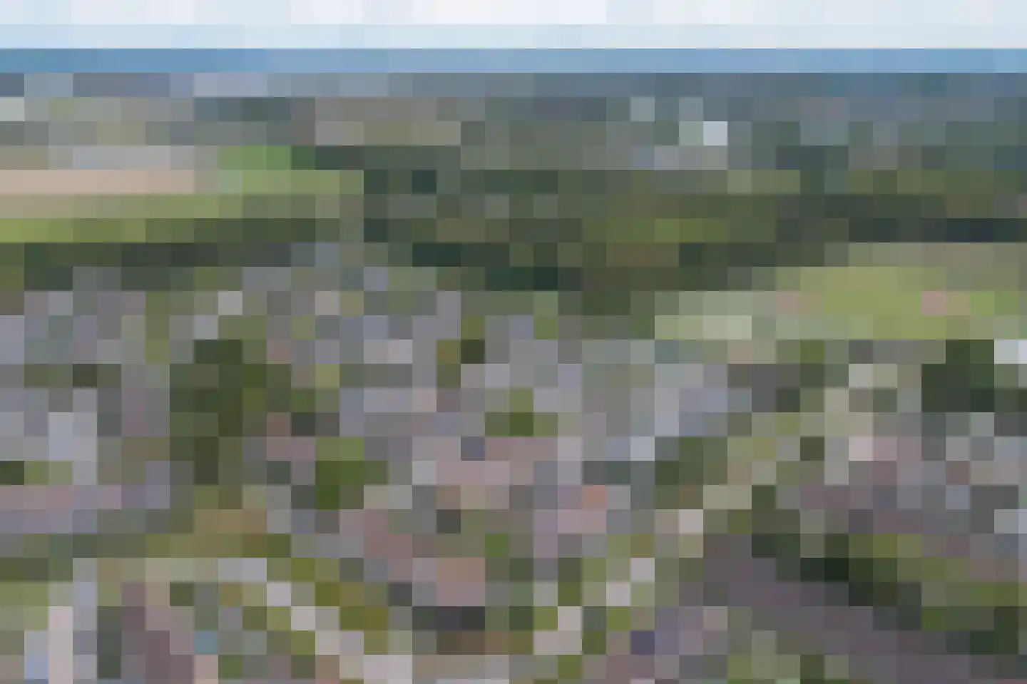Tarbot 123 Ridderkerk thumbnail 36