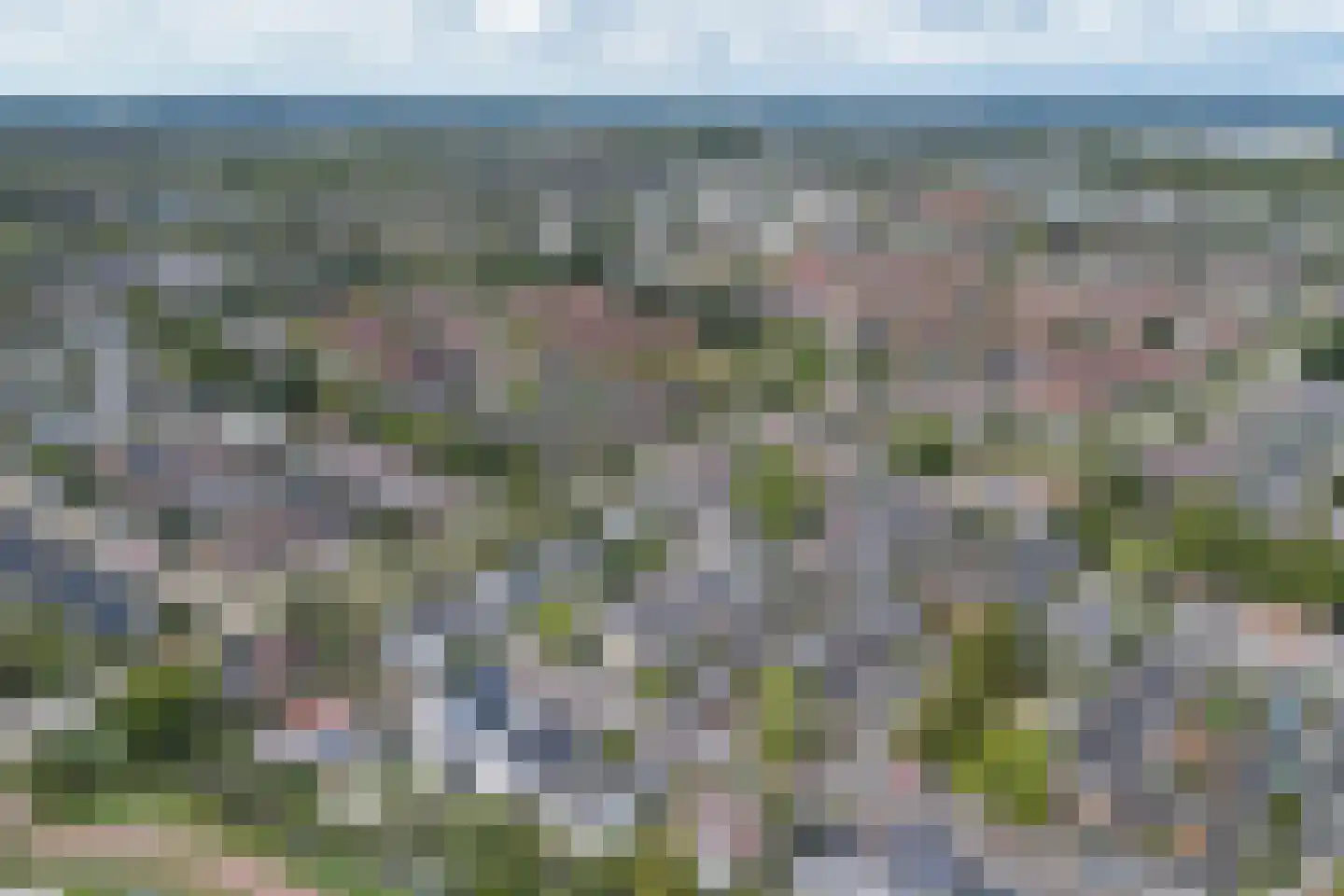 Tarbot 123 Ridderkerk thumbnail 38