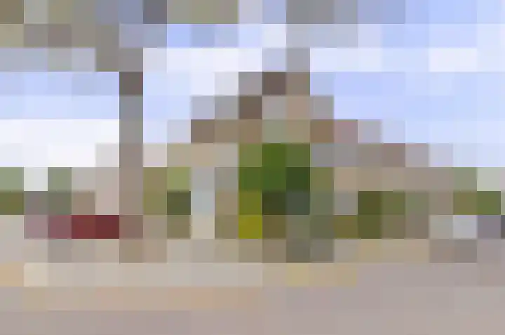 Tarbot 16 in Ridderkerk
