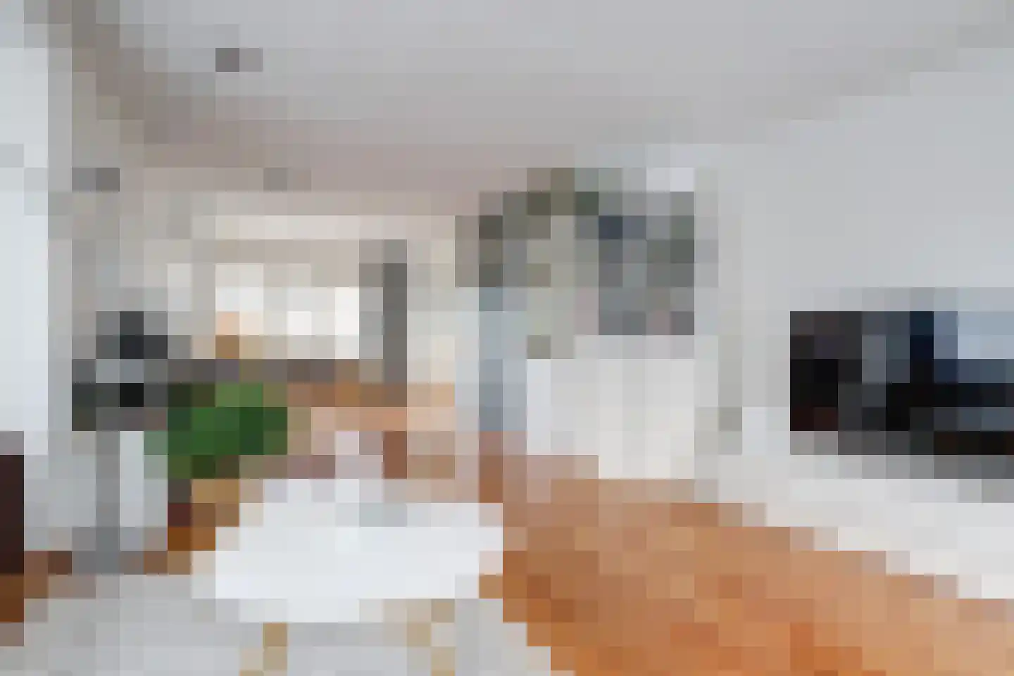 Tarbot 16 Ridderkerk thumbnail 12