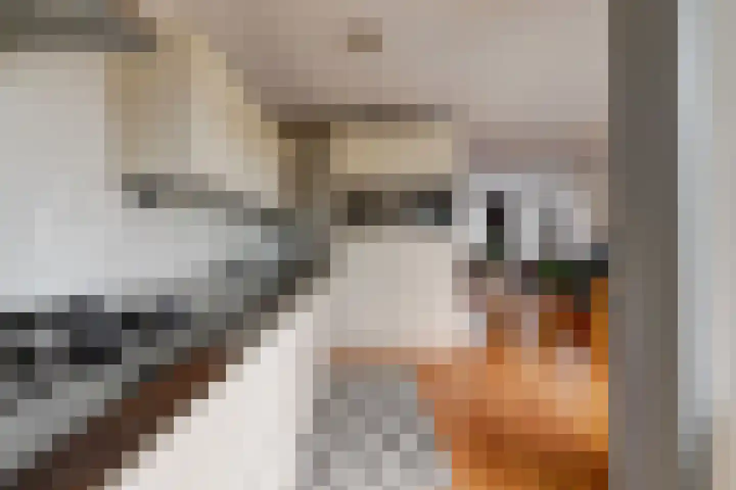 Tarbot 16 Ridderkerk thumbnail 17