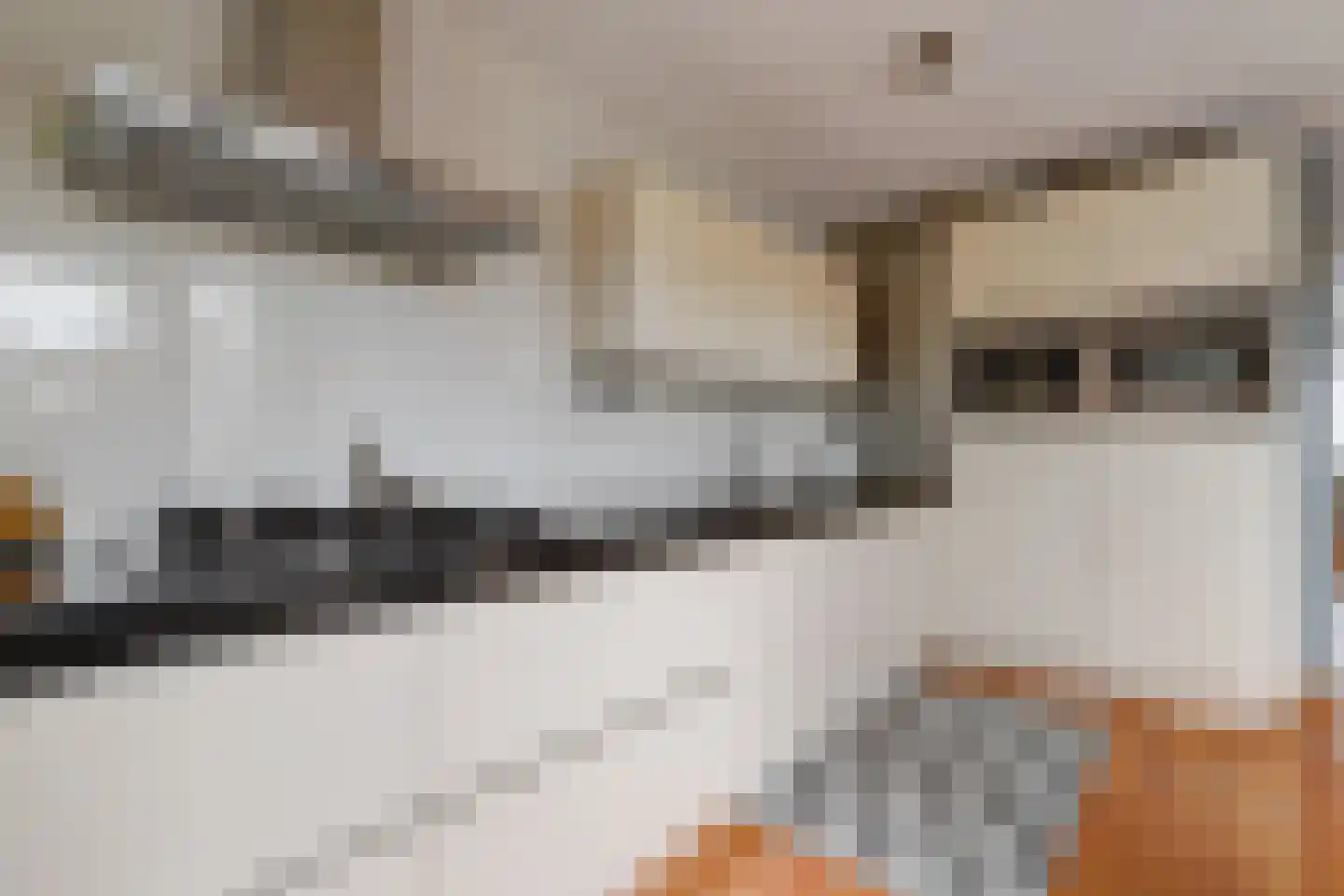 Tarbot 16 Ridderkerk thumbnail 20