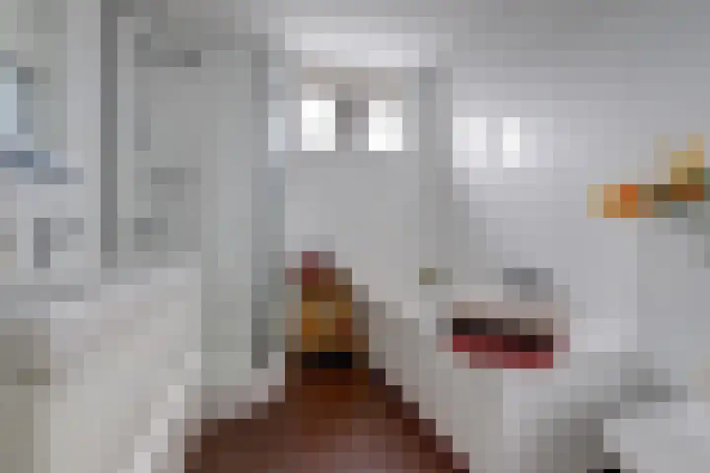 Tarbot 16 Ridderkerk thumbnail 31