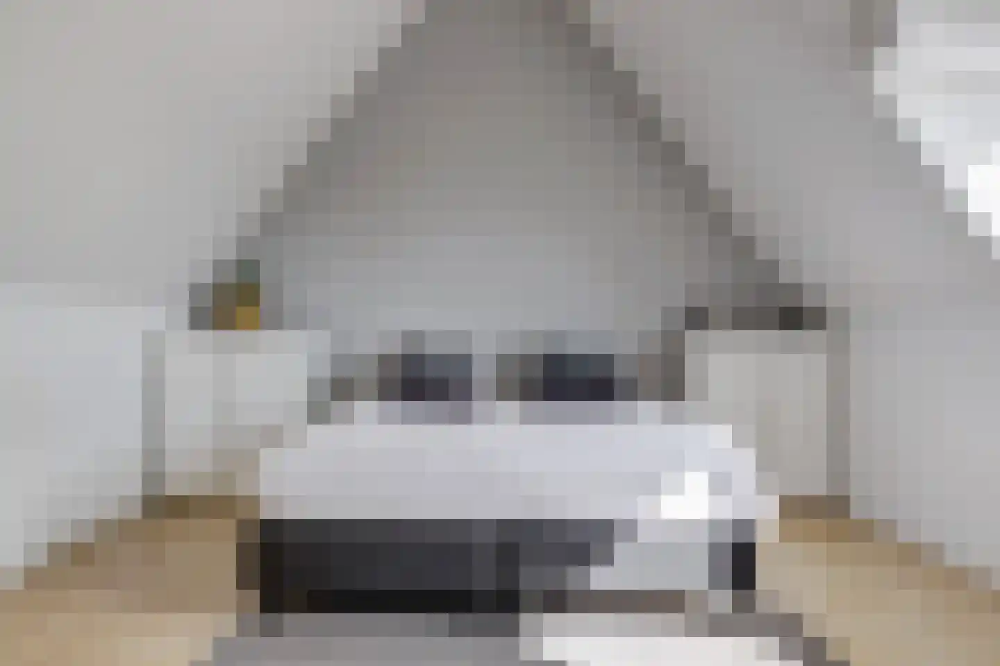 Tarbot 16 Ridderkerk thumbnail 36