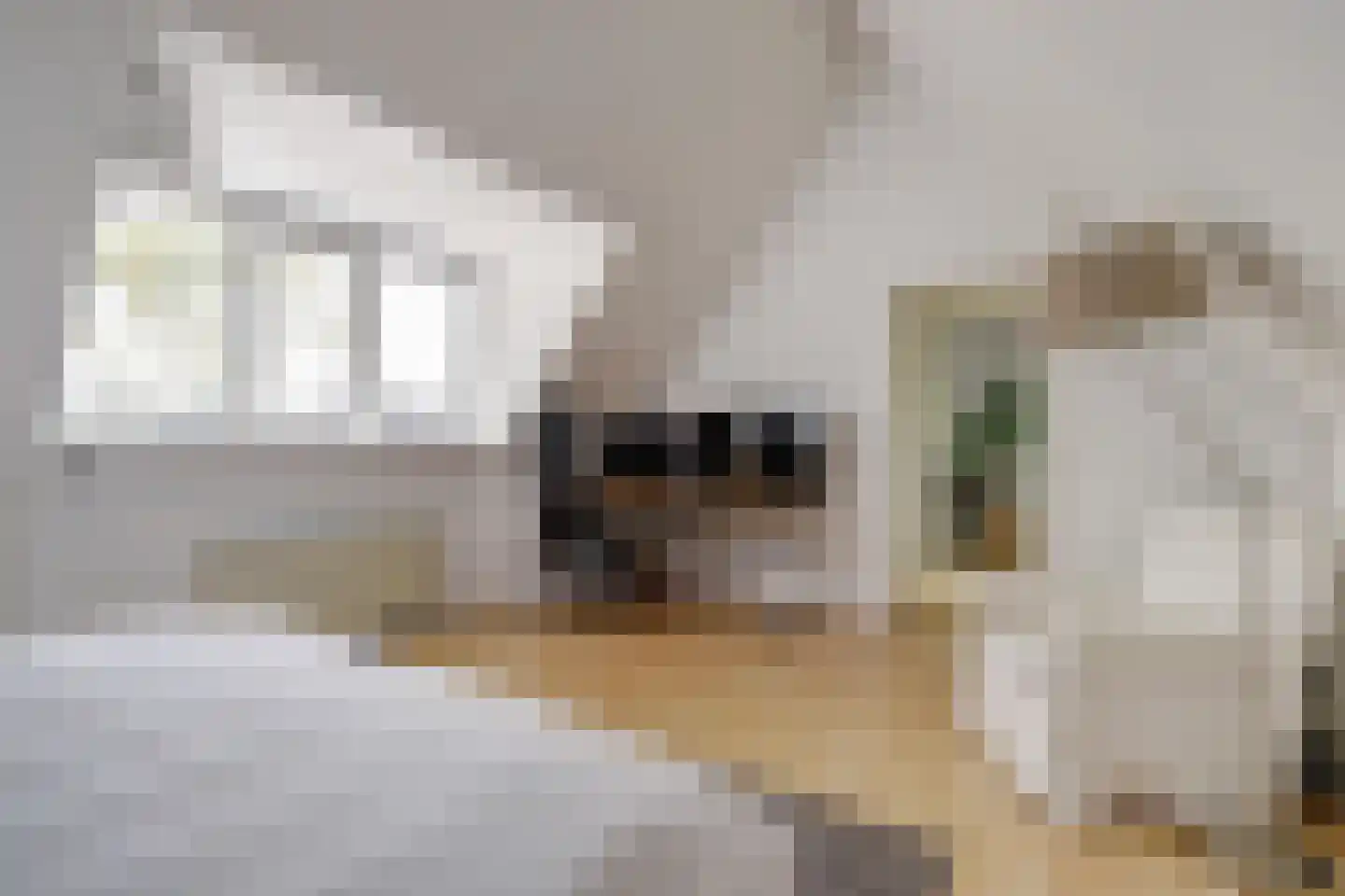 Tarbot 16 Ridderkerk thumbnail 37